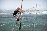 Stilt fishermen in Weligama, Sri Lanka
